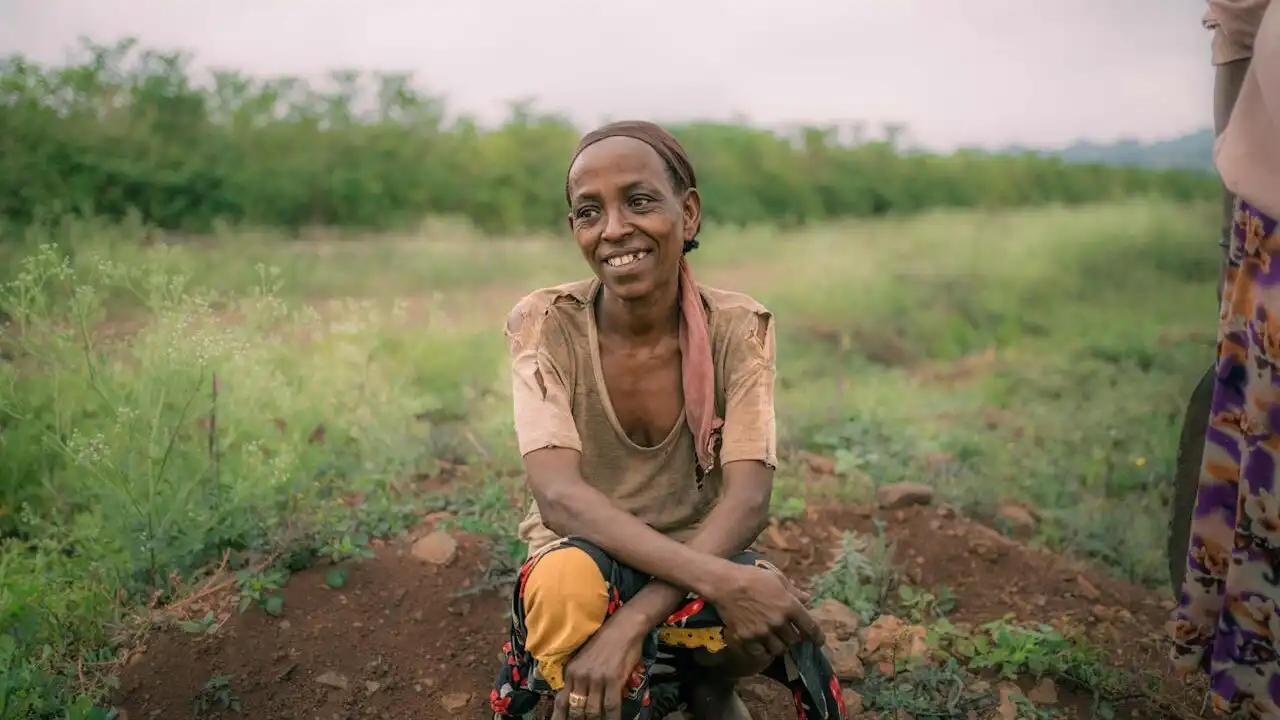 Intro To Verb Roots And Conjugation In Amharic
