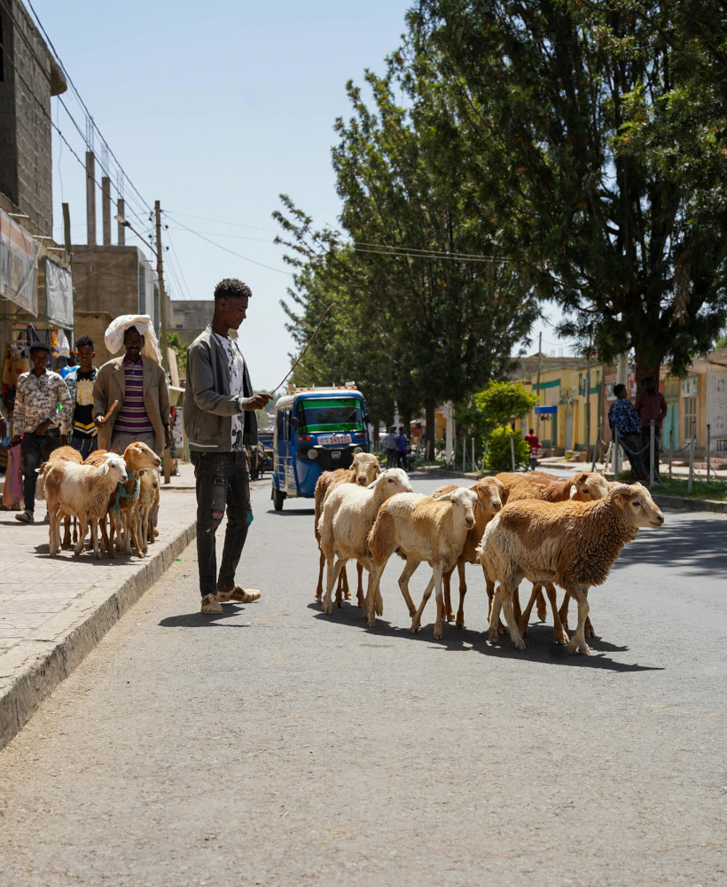 Amharic language lessons